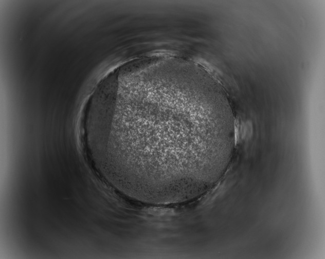 X0000092210339200709210954