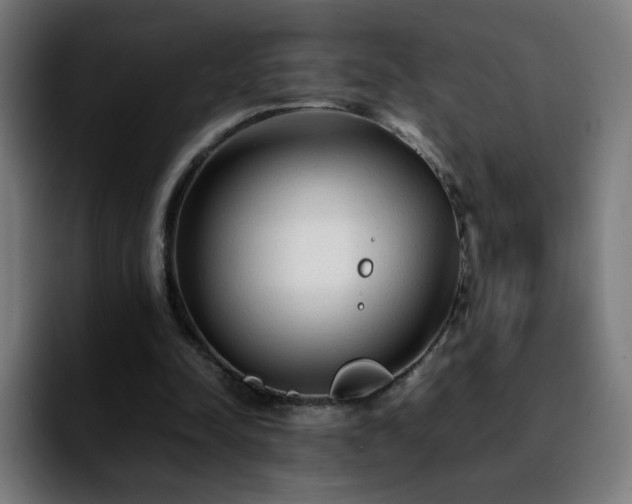 X0000092210342200709210954