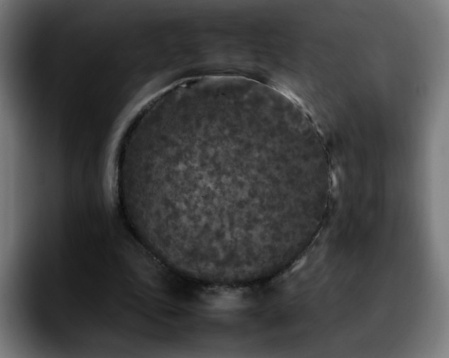 X0000092210343200709210954