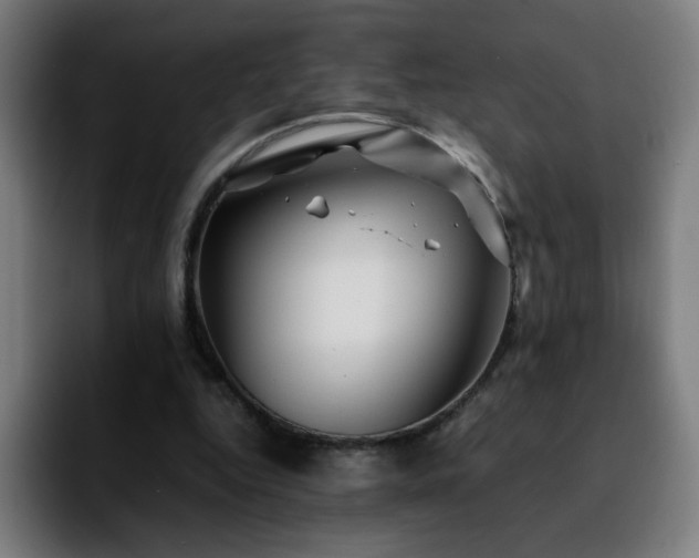 X0000092210344200709210954