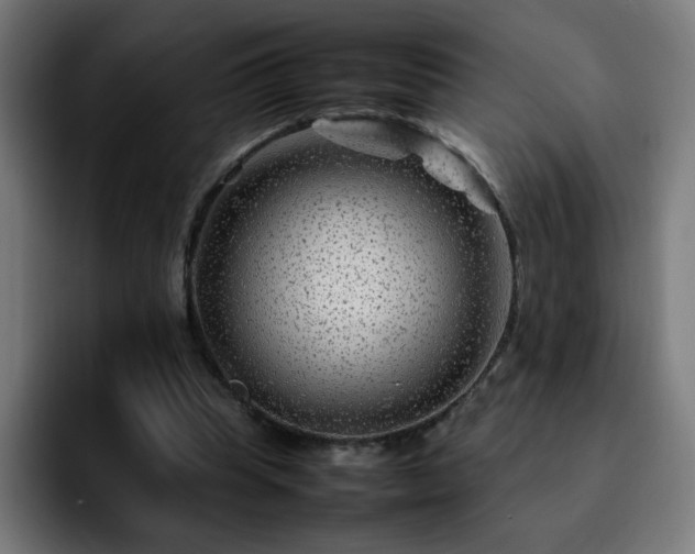 X0000092210345200709210954