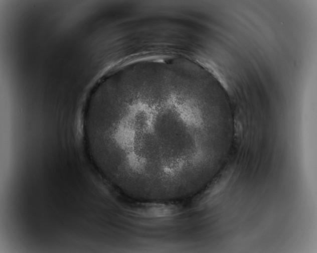 X0000092210347200709210954