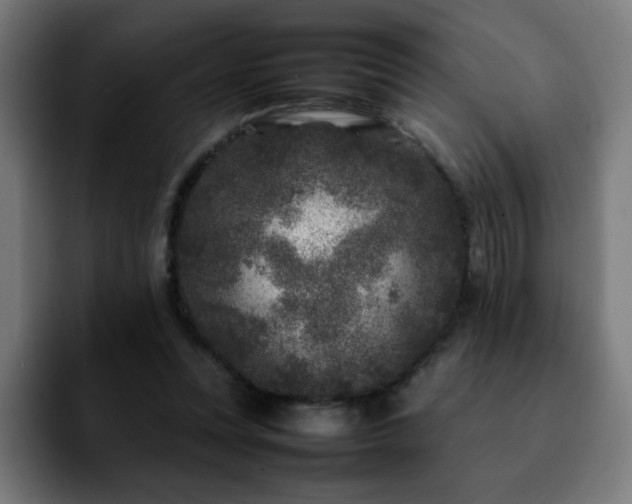 X0000092210351200709210954