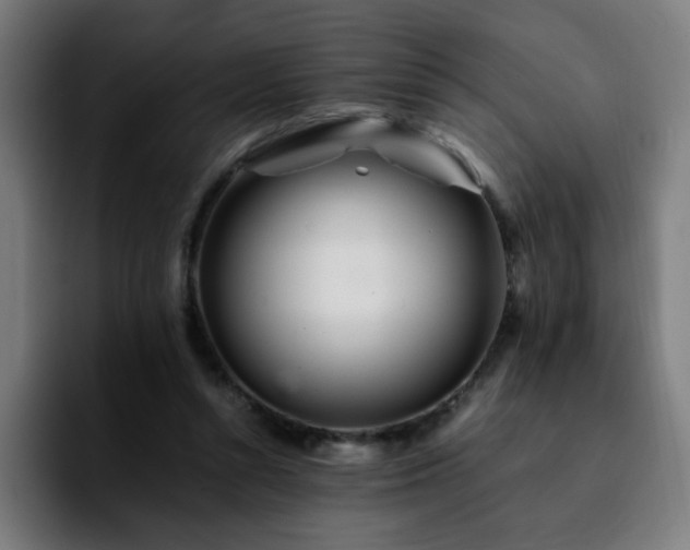 X0000092210352200709210954