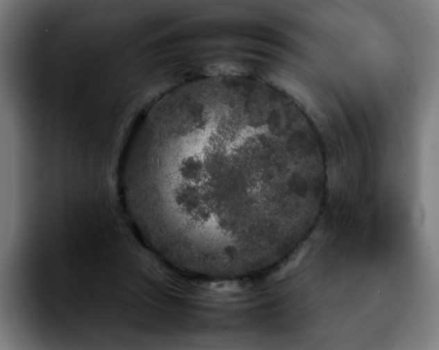 X0000092210353200709210954