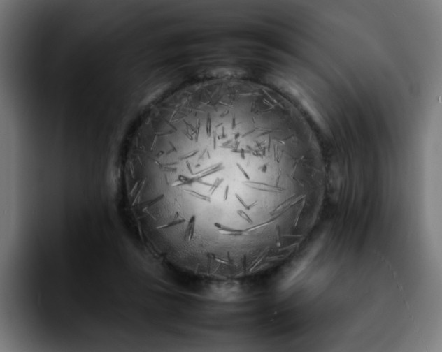 X0000092210355200709210954