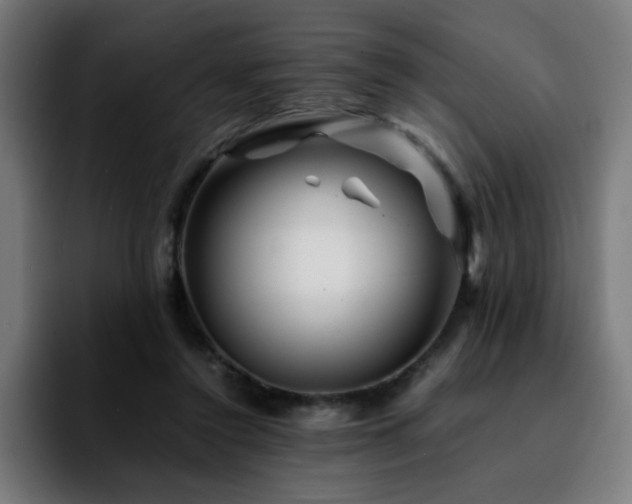 X0000092210356200709210954