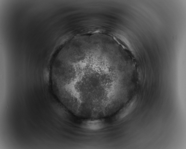 X0000092210357200709210954