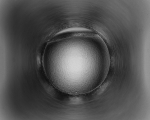 X0000092210358200709210954