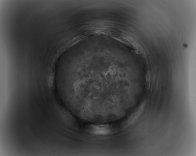 X0000092210359200709210954