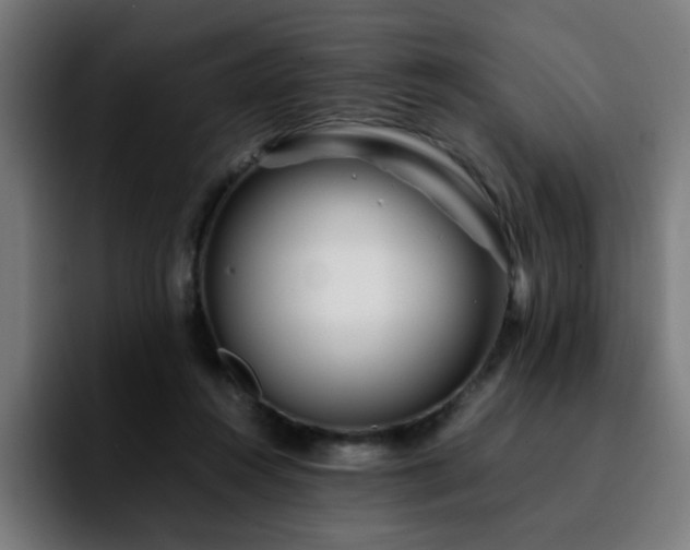 X0000092210360200709210954