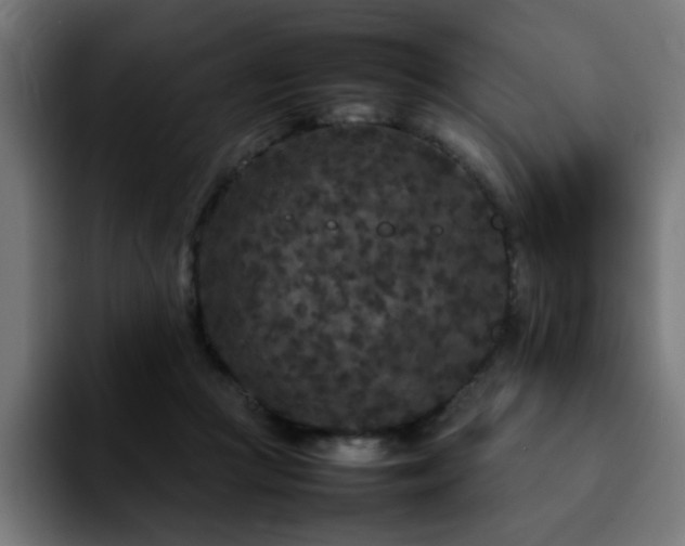 X0000092210361200709210954