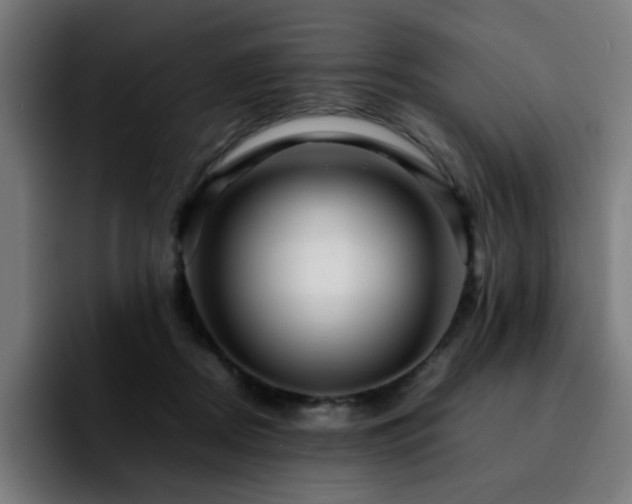 X0000092210362200709210954