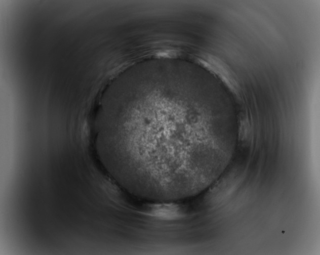 X0000092210363200709210954