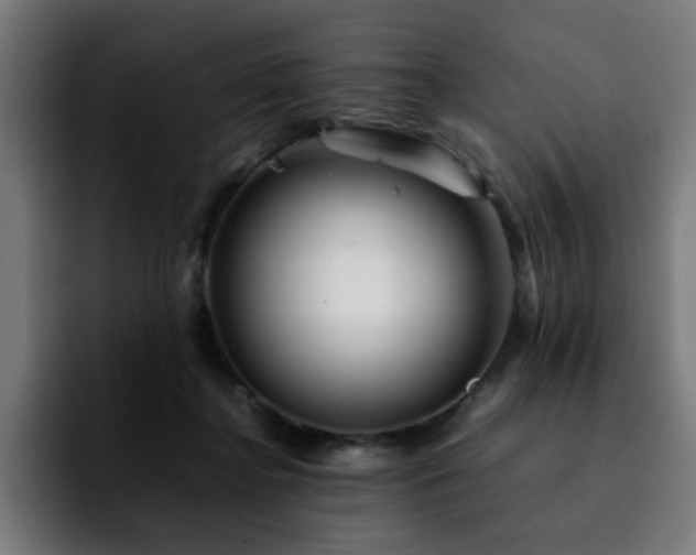 X0000092210364200709210954