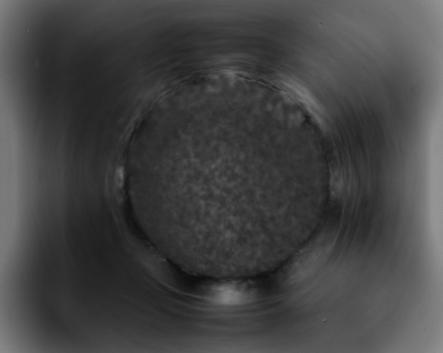 X0000092210365200709210954