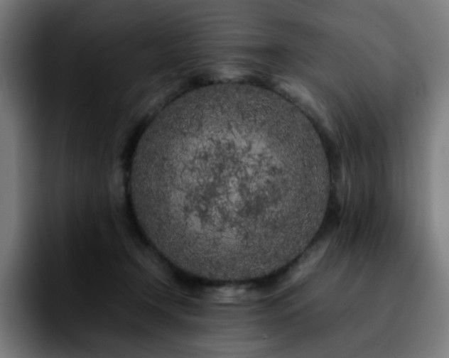 X0000092210366200709210954