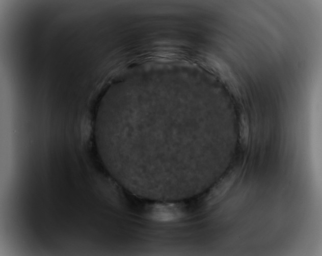 X0000092210367200709210954