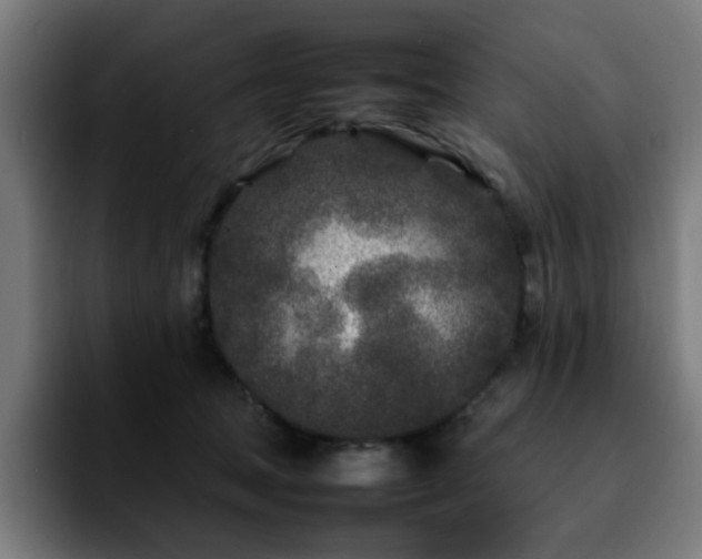 X0000092210369200709210954