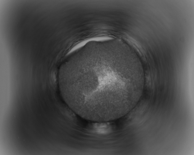 X0000092210373200709210954