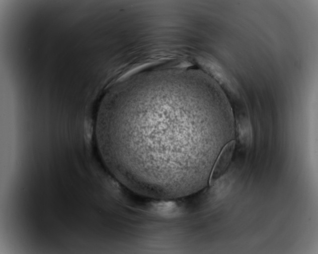 X0000092210374200709210954