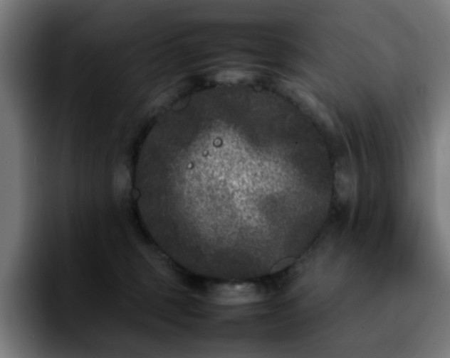 X0000092210375200709210954