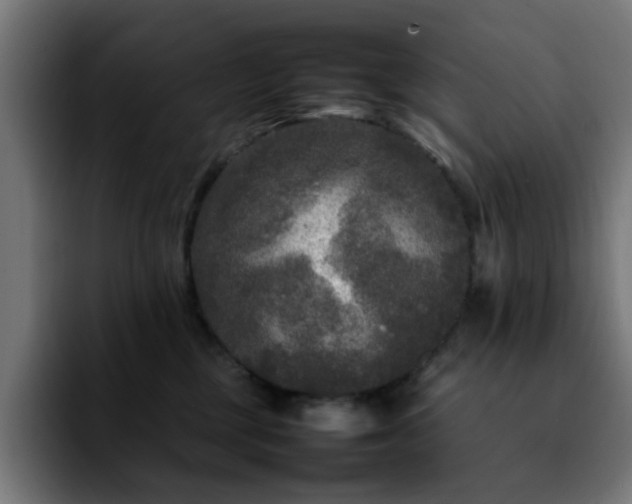 X0000092210377200709210954