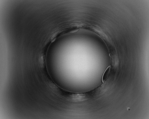 X0000092210378200709210954