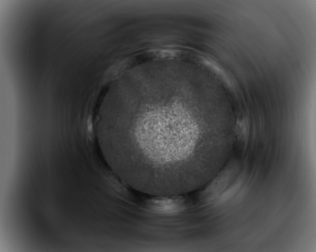 X0000092210381200709210954