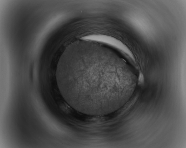 X0000092210383200709210954