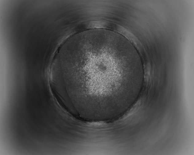 X0000092210386200709210953