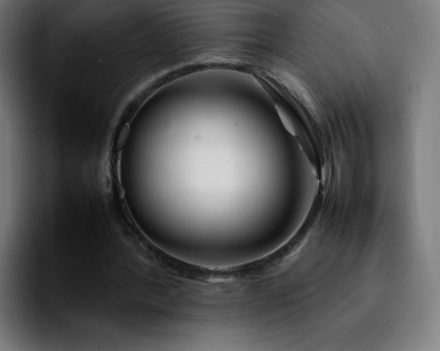 X0000092210388200709210953