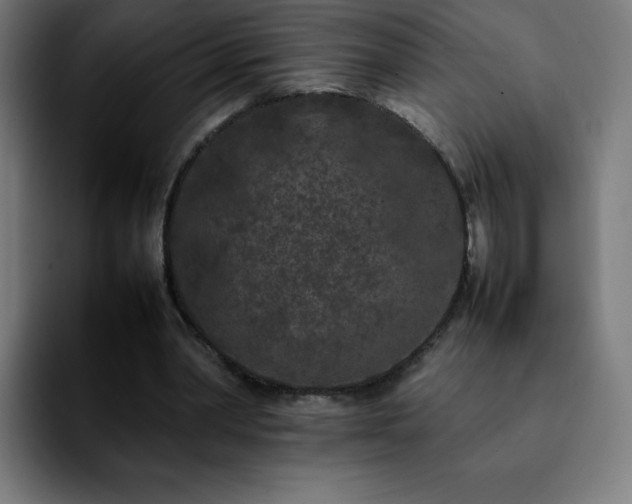 X0000092210390200709210953