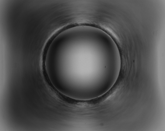 X0000092210391200709210953