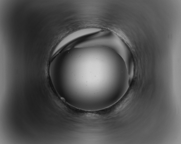 X0000092210393200709210953