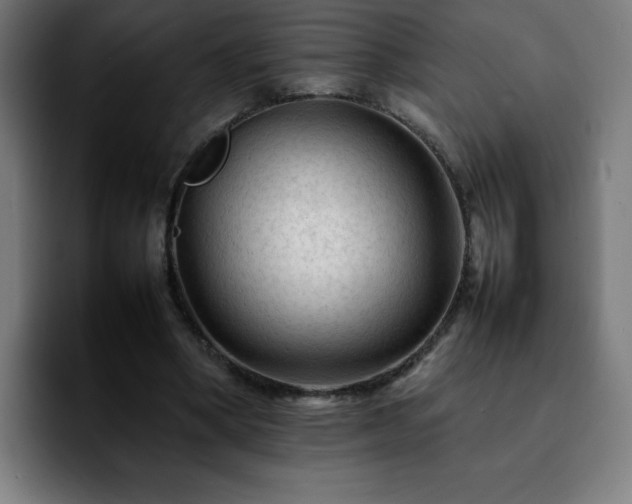 X0000092210394200709210953