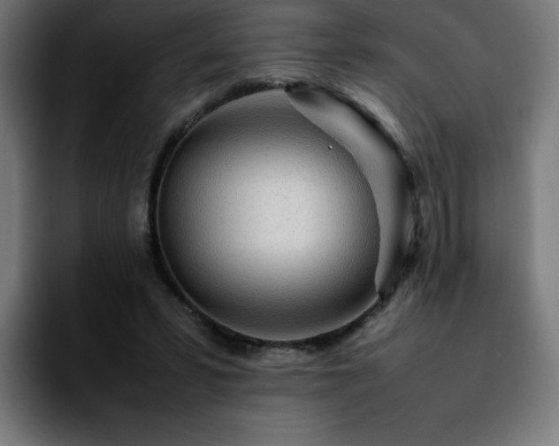 X0000092210399200709210953