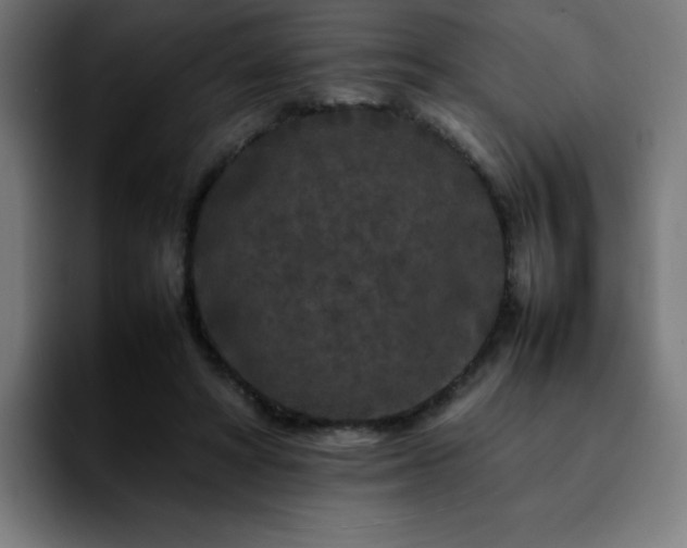 X0000092210402200709210953