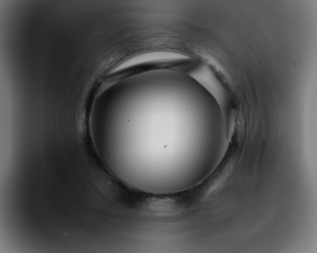 X0000092210403200709210953