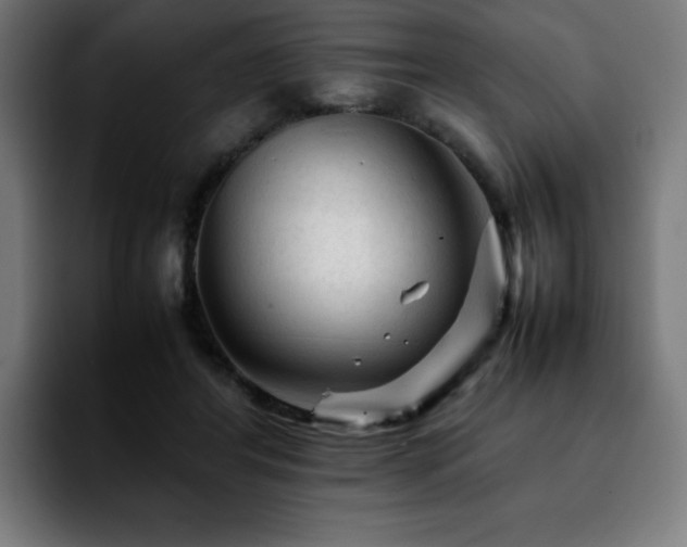 X0000092210404200709210953