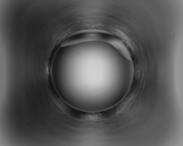 X0000092210405200709210953