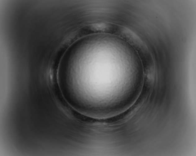 X0000092210408200709210953