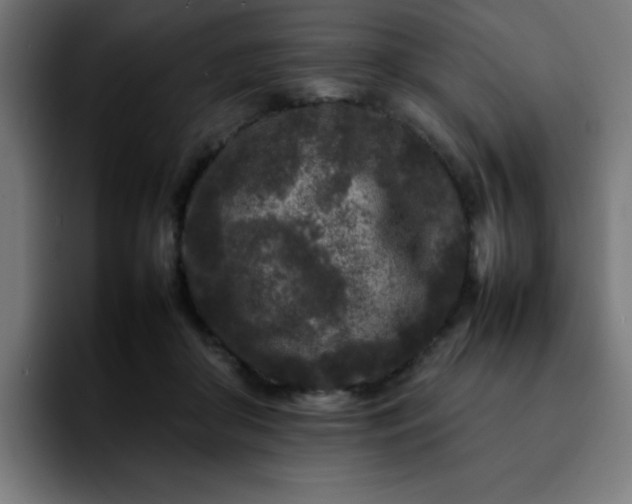 X0000092210410200709210953