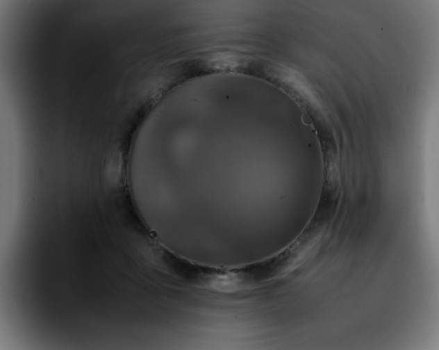 X0000092210411200709210953