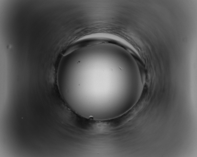 X0000092210413200709210953