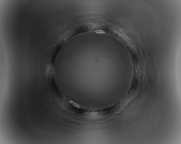 X0000092210419200709210953