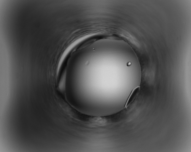 X0000092210421200709210953