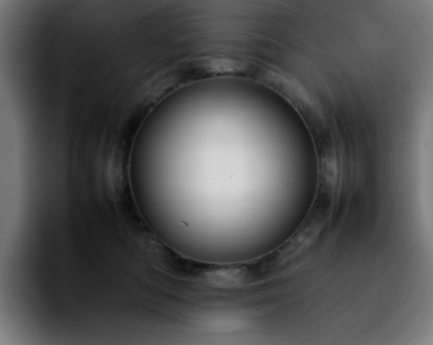 X0000092210422200709210953