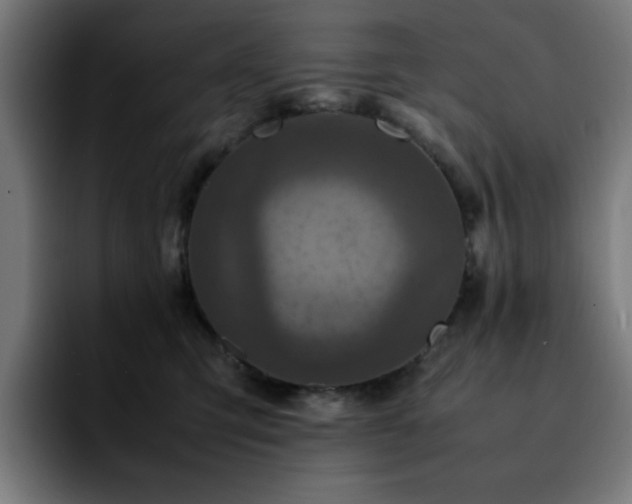 X0000092210423200709210953