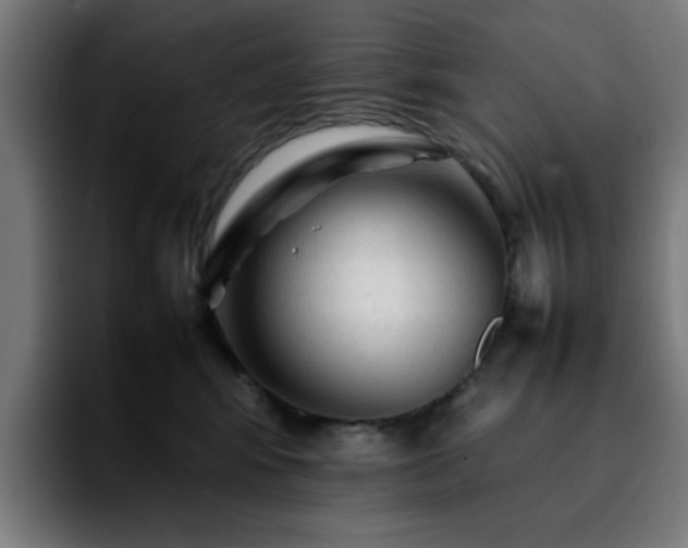 X0000092210424200709210953